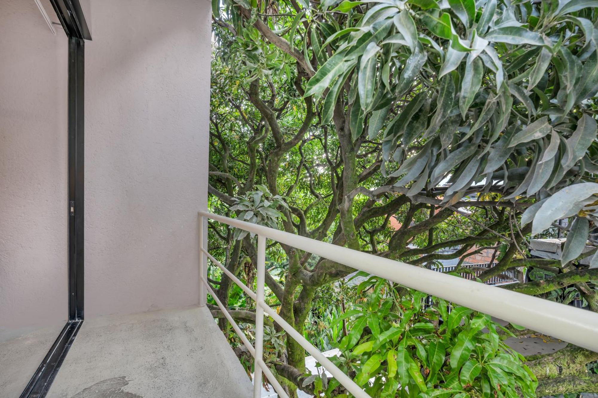 Botanica Casa Hotel Manila By Housy Host Medellin Luaran gambar